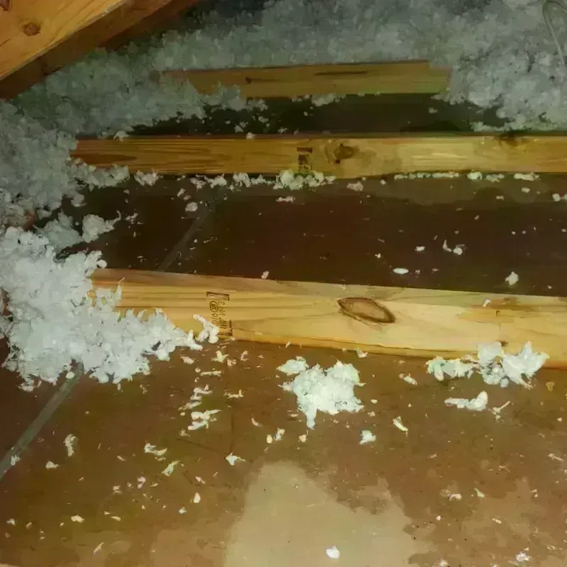 Attic Water Damage in College, AK