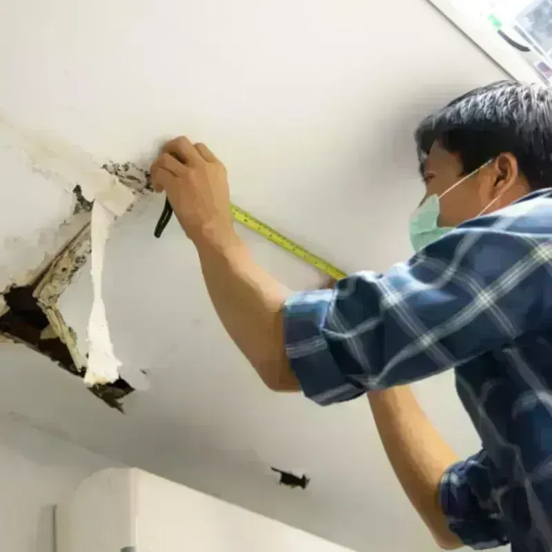 Ceiling And Wall Water Damage in College, AK